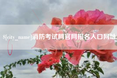 铜陵消防考试网官网报名入口网址