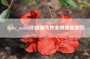 铜陵中国第九枚金牌是谁得的