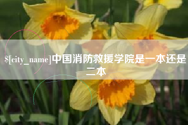 铜陵中国消防救援学院是一本还是二本