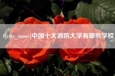 铜陵中国十大消防大学有哪些学校