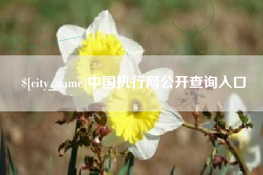 铜陵中国执行网公开查询入口