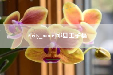 铜陵邱县王子磊