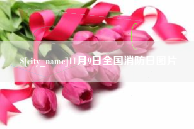 铜陵11月9日全国消防日图片