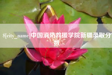 铜陵中国消防救援学院新疆录取分数