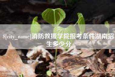 铜陵消防救援学院报考条件湖南招生多少分