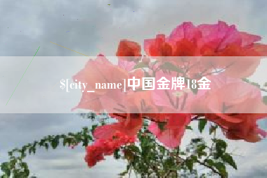 铜陵中国金牌18金