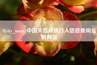 铜陵中国失信被执行人信息查询公开网址