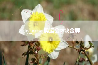铜陵奥运会39块金牌