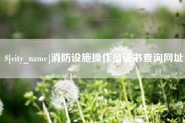铜陵消防设施操作员证书查询网址