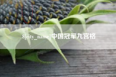 铜陵中国冠军九宫格