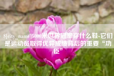 铜陵5000米世界冠军穿什么鞋-它们是运动员取得优异成绩背后的重要“功臣”