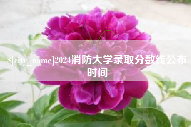 铜陵2024消防大学录取分数线公布时间