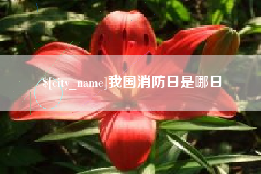 铜陵我国消防日是哪日
