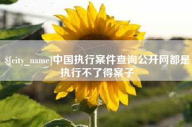 铜陵中国执行案件查询公开网都是执行不了得案子