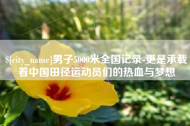 铜陵男子5000米全国记录-更是承载着中国田径运动员们的热血与梦想