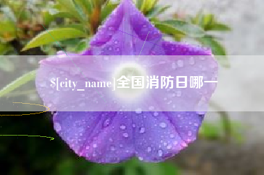 铜陵全国消防日哪一