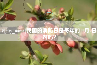 铜陵我国的消防日是每年的11月9日对吗？