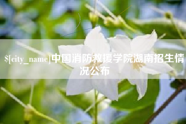 铜陵中国消防救援学院湖南招生情况公布