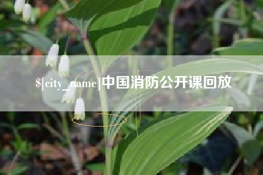 铜陵中国消防公开课回放
