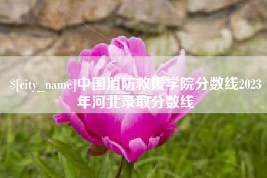 铜陵中国消防救援学院分数线2023年河北录取分数线