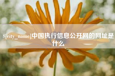 铜陵中国执行信息公开网的网址是什么