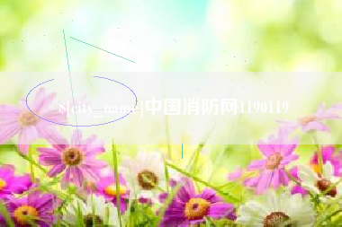 铜陵中国消防网1190119