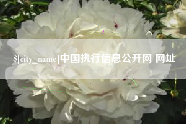 铜陵中国执行信息公开网 网址