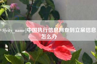 铜陵中国执行信息网查到立案信息怎么办
