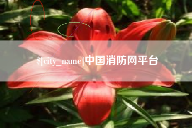 铜陵中国消防网平台