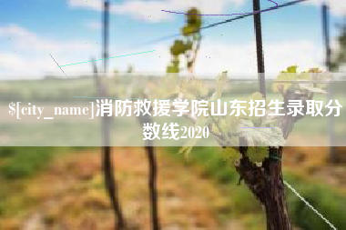 铜陵消防救援学院山东招生录取分数线2020