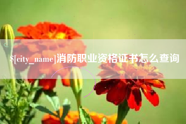铜陵消防职业资格证书怎么查询
