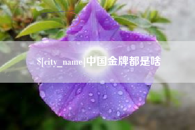 铜陵中国金牌都是啥
