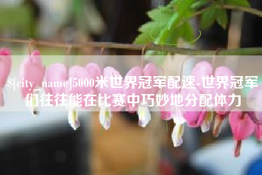 铜陵5000米世界冠军配速-世界冠军们往往能在比赛中巧妙地分配体力