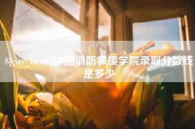 铜陵中国消防救援学院录取分数线是多少