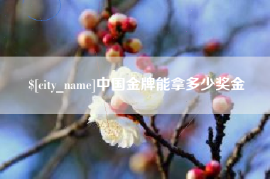 铜陵中国金牌能拿多少奖金