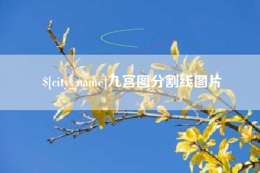 铜陵九宫图分割线图片