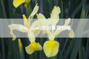 铜陵中国金牌包括