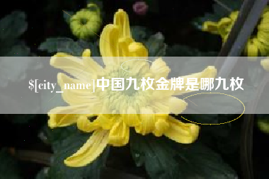 铜陵中国九枚金牌是哪九枚