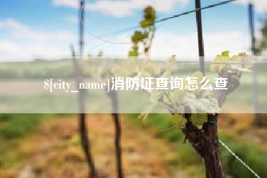铜陵消防证查询怎么查