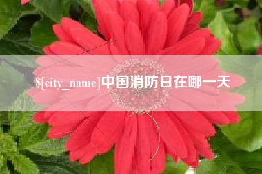 铜陵中国消防日在哪一天