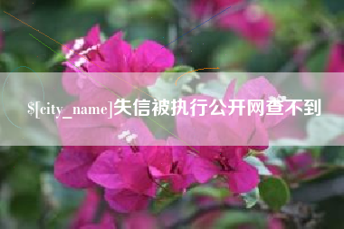 铜陵失信被执行公开网查不到
