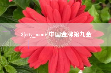 铜陵中国金牌第九金