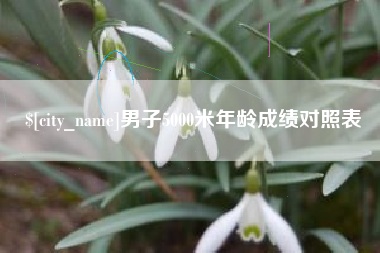 铜陵男子5000米年龄成绩对照表