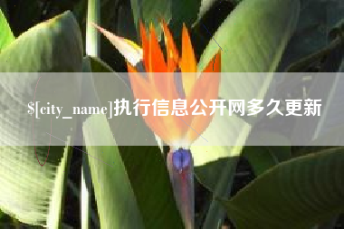 铜陵执行信息公开网多久更新