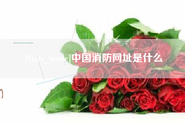 铜陵中国消防网址是什么