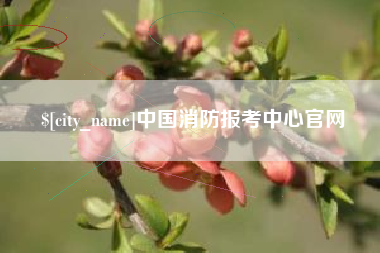 铜陵中国消防报考中心官网