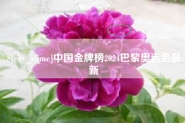 铜陵中国金牌榜2024巴黎奥运会最新