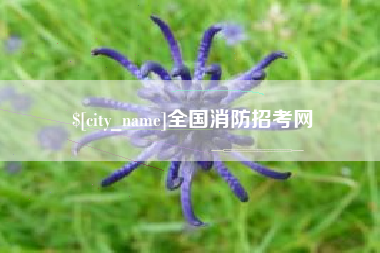 铜陵全国消防招考网