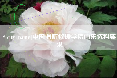 铜陵中国消防救援学院山东选科要求