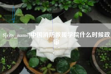 铜陵中国消防救援学院什么时候政审